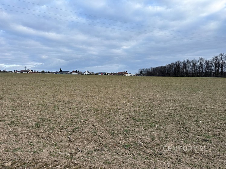 Prodej  pole 40 767 m² - foto 5