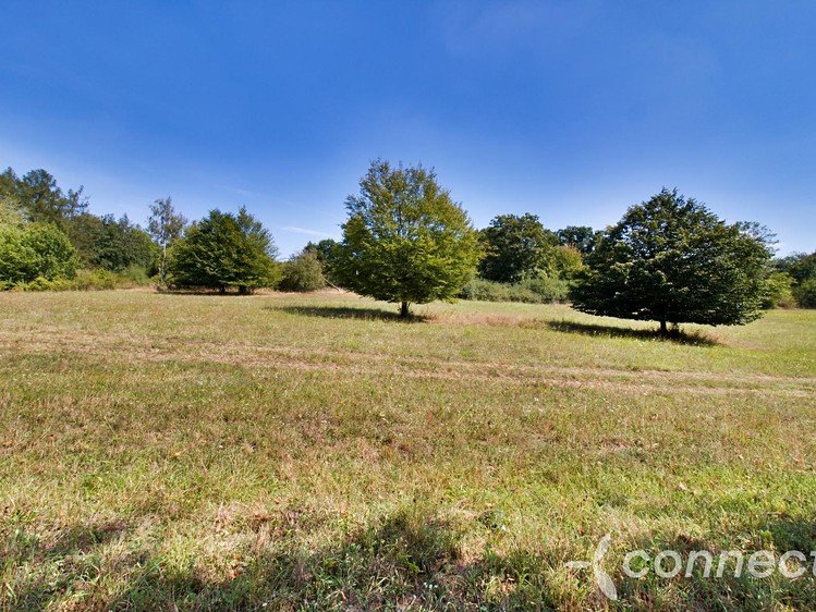 Prodej louky 14 836 m² - foto 4
