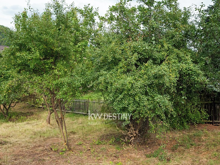 Prodej zahrady 423 m² - foto 3