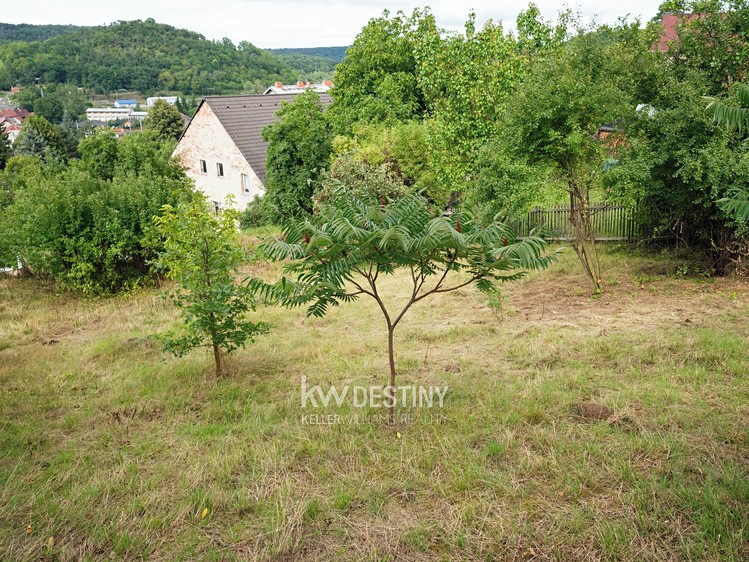 Prodej zahrady 423 m² - foto 5
