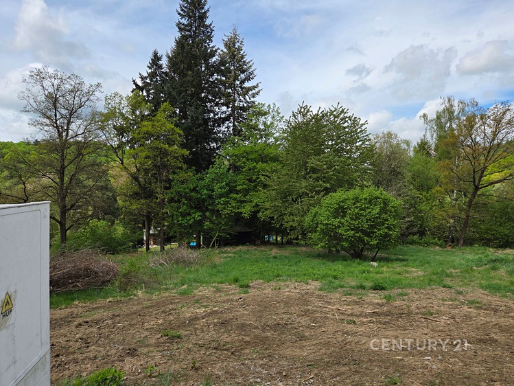 Prodej stavebního pozemku 1 217 m² - foto 6