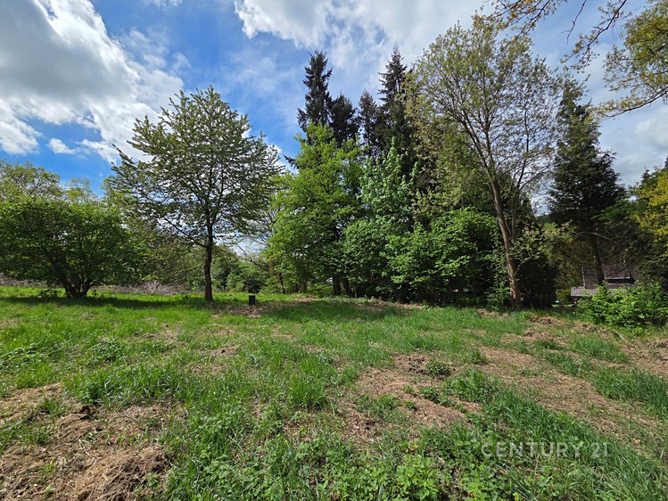 Prodej stavebního pozemku 1 217 m² - foto 5