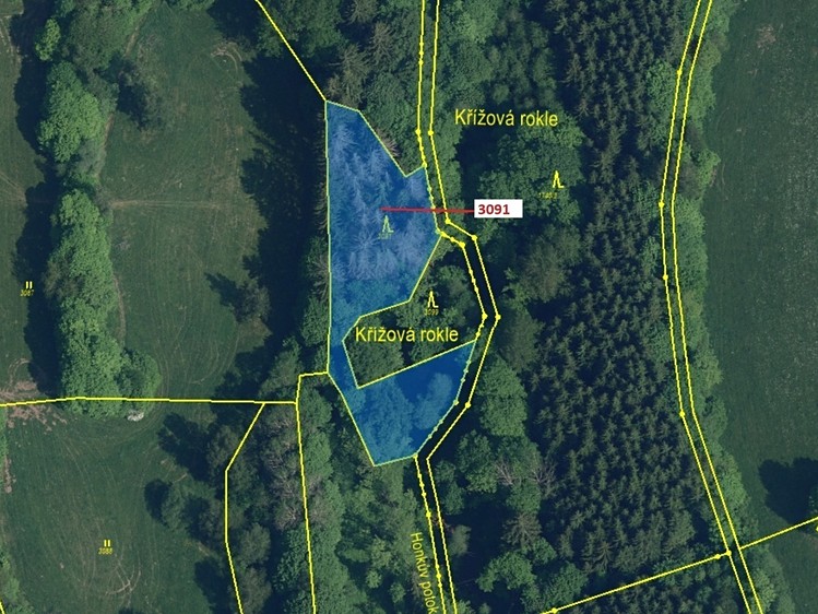 Dražba lesa 1 964 m² - foto 2