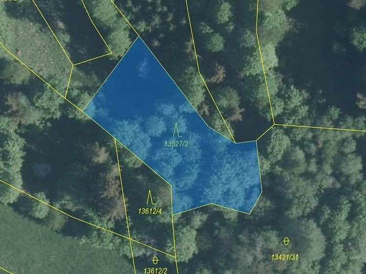 Dražba lesa 1 230 m² - foto 2