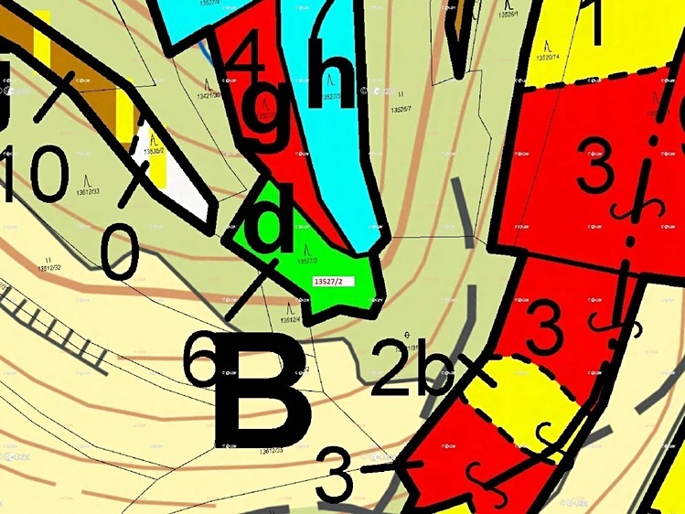 Dražba lesa 1 230 m² - foto 3