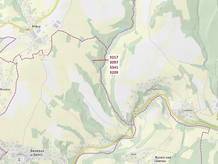 Dražba lesa 1 649 m² - foto 1