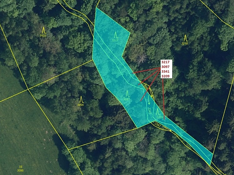 Dražba lesa 1 649 m² - foto 2