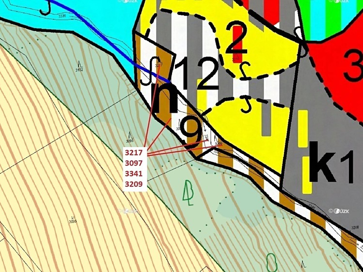 Dražba lesa 1 649 m² - foto 3