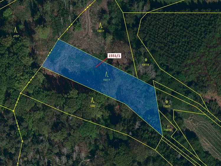 Dražba lesa 2 478 m² - foto 2