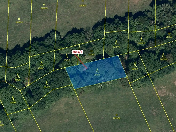 Dražba lesa 1 130 m² - foto 2