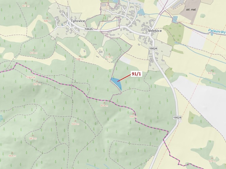Dražba lesa 3 251 m² - foto 1