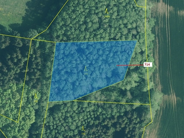 Dražba lesa 2 850 m² - foto 2