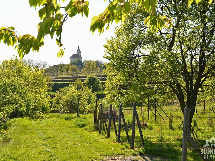 Pronájem sadu, vinice 1 159 m² - foto 1