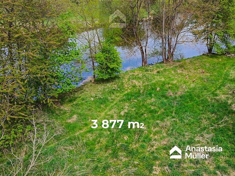 Pronájem pozemku 3 877 m² - foto 4