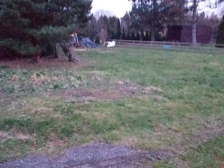 Pronájem zahrady 420 m² - foto 3