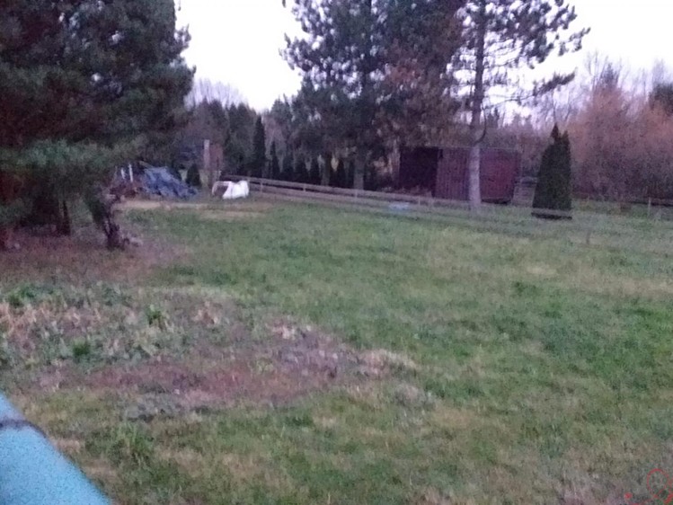 Pronájem zahrady 420 m² - foto 2