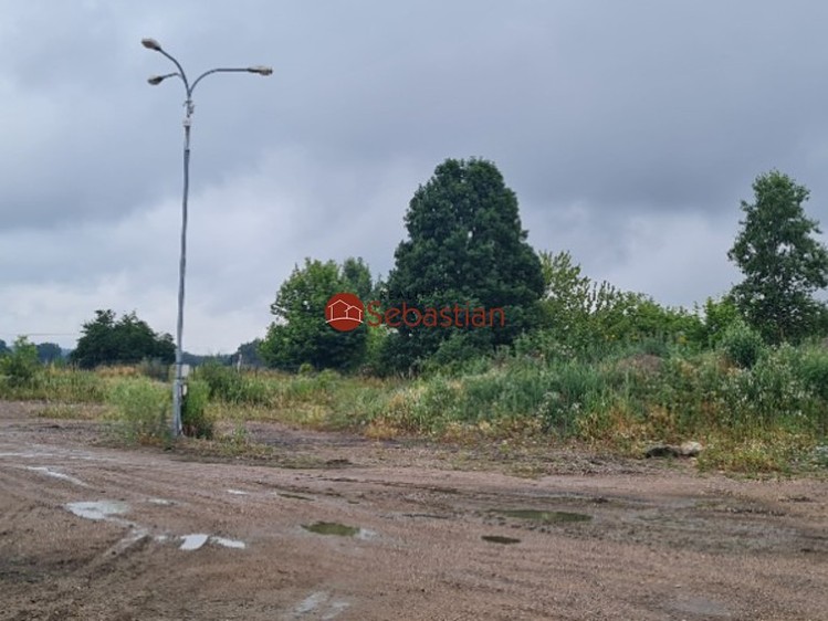 Pronájem komerčního pozemku 10 995 m² - foto 4