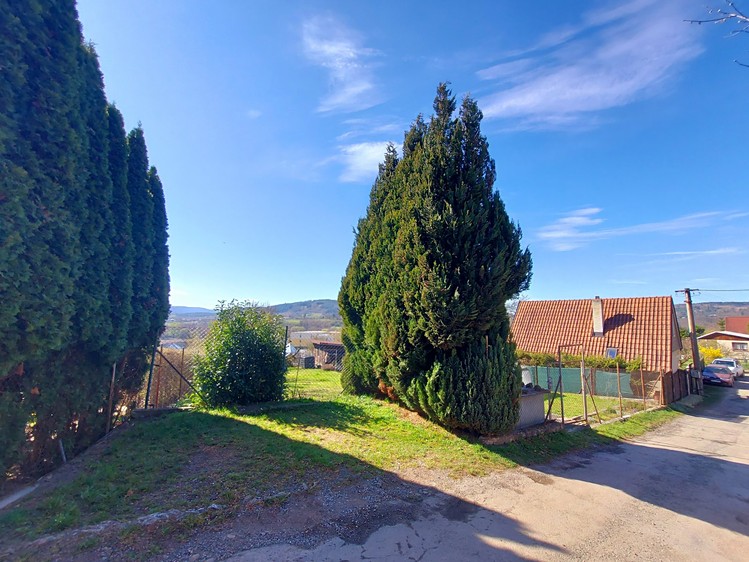 Pronájem zahrady 369 m² - foto 6