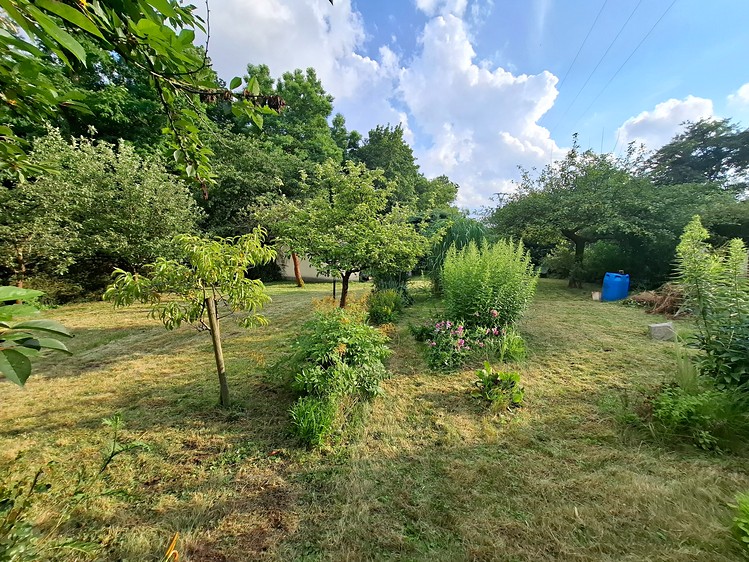 Pronájem zahrady 546 m² - foto 2