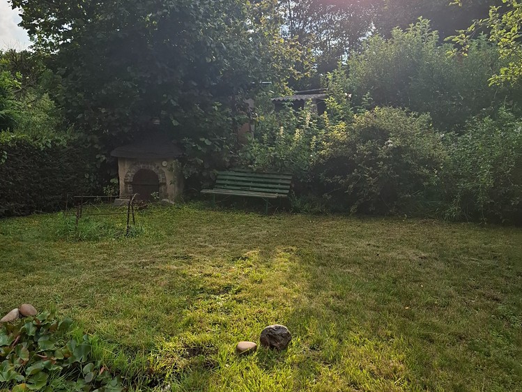 Pronájem zahrady 546 m² - foto 3