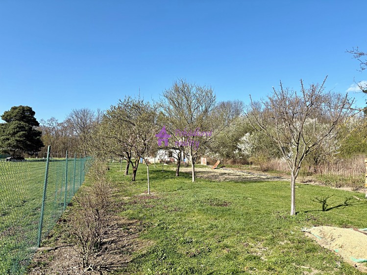 Pronájem zahrady 1 636 m² - foto 4