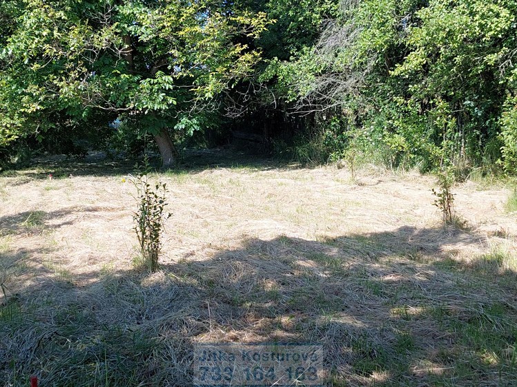 Pronájem zahrady 400 m² - foto 4