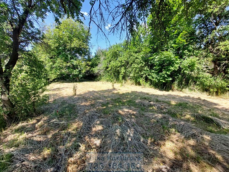 Pronájem zahrady 400 m² - foto 3