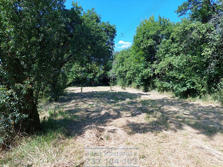 Pronájem zahrady 400 m² - foto 2