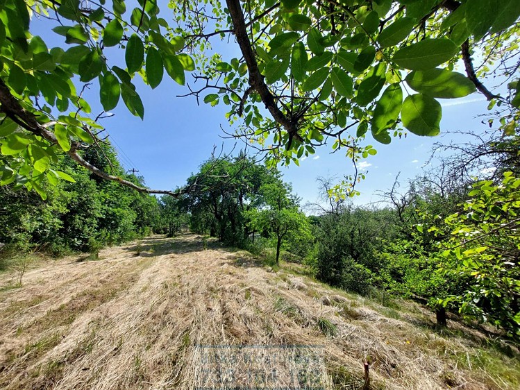 Pronájem zahrady 400 m² - foto 5