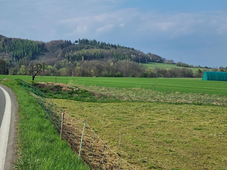 Pronájem pole 850 m² - foto 6