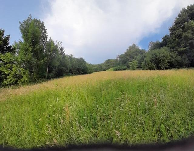Pronájem pole 510 m² - foto 2