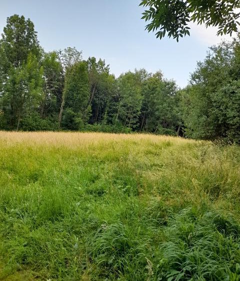 Pronájem pole 510 m² - foto 4