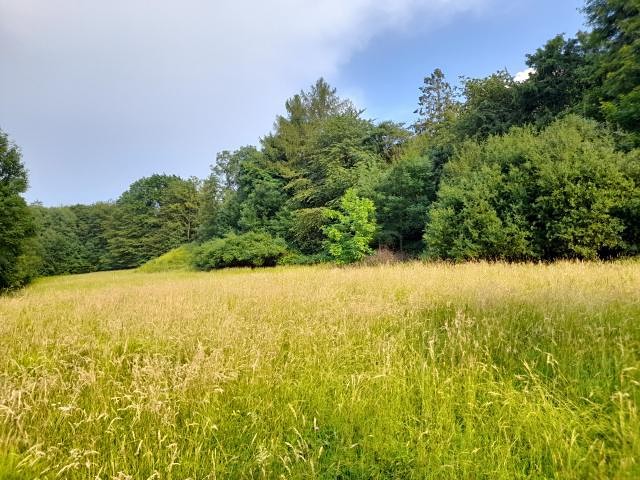 Pronájem pole 510 m² - foto 1