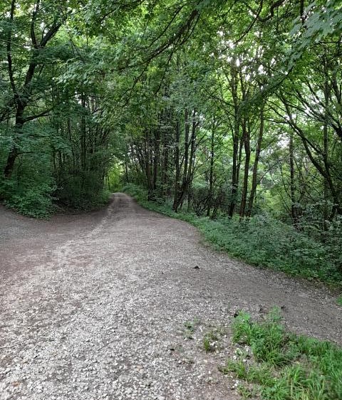 Pronájem pole 510 m² - foto 5