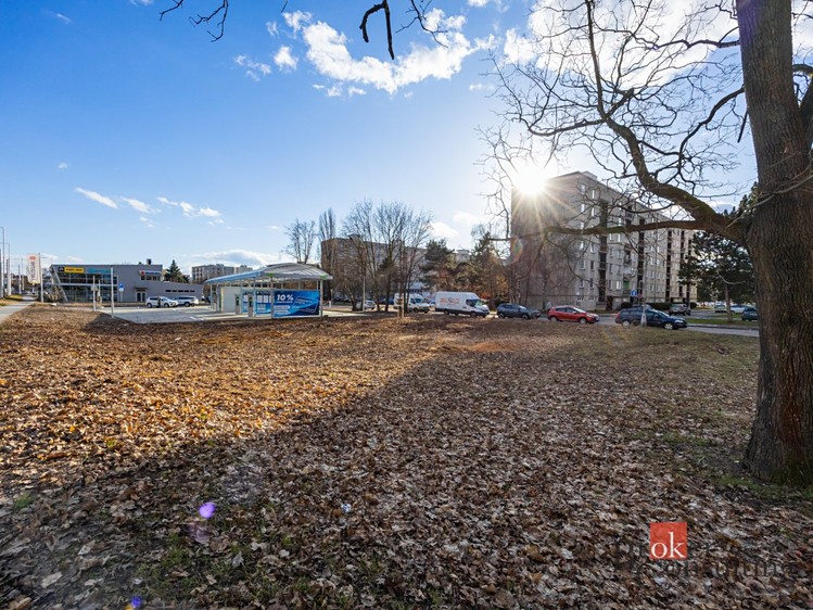 Pronájem komerčního pozemku 542 m² - foto 3