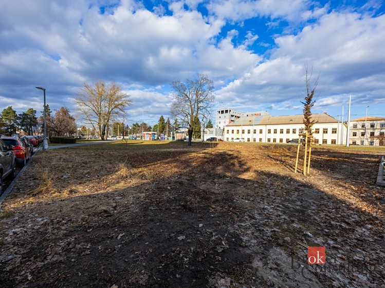 Pronájem komerčního pozemku 542 m² - foto 4