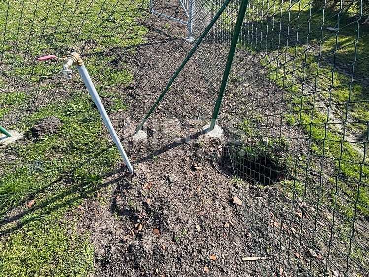 Pronájem zahrady 200 m² - foto 5