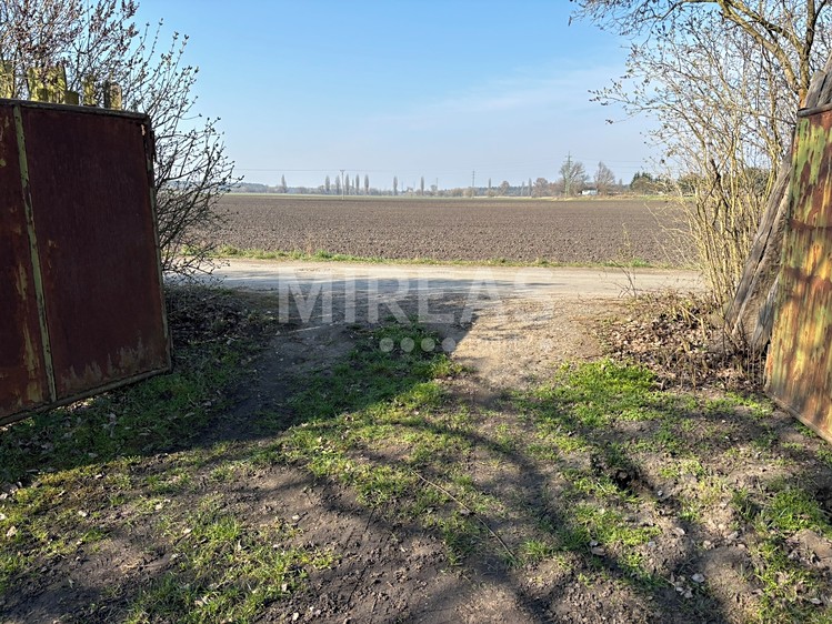 Pronájem zahrady 200 m² - foto 7