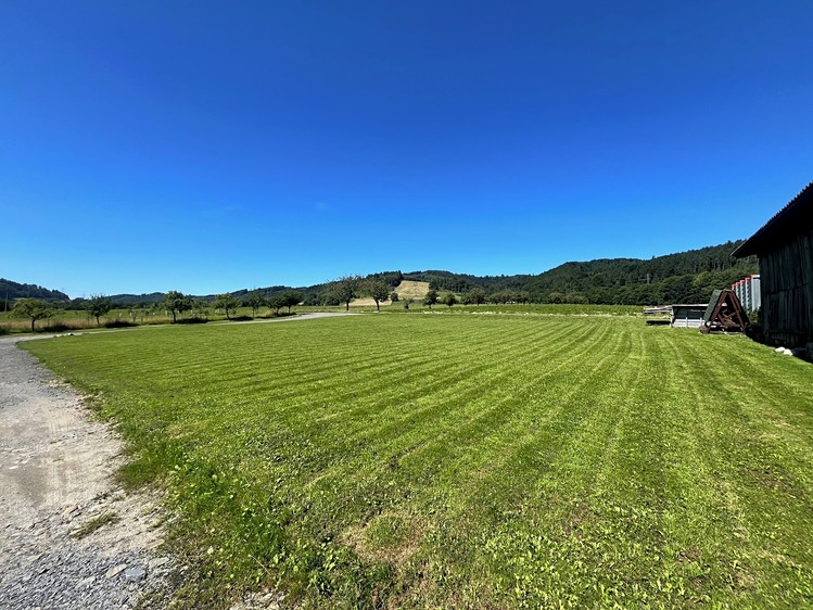 Pronájem pozemku 1 572 m² - foto 3