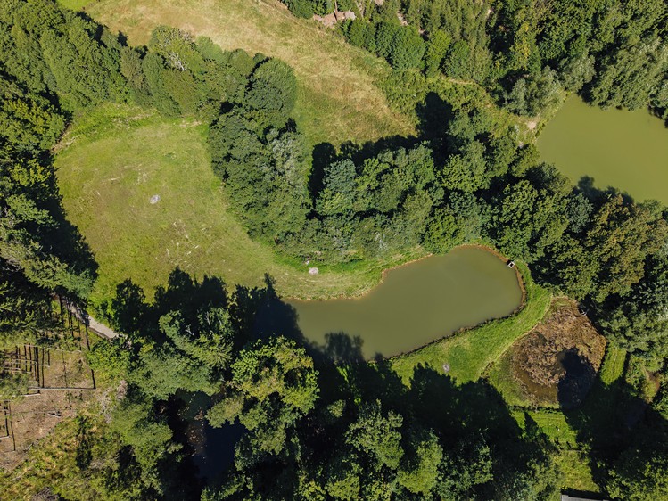 Pronájem rybníku (vodní plochy) 10 752 m² - foto 4