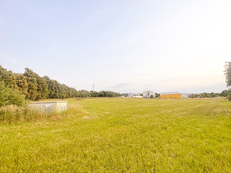 Pronájem komerčního pozemku 15 102 m² - foto 4