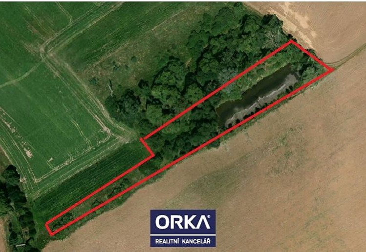 Pronájem rybníku (vodní plochy) 6 501 m² - foto 4