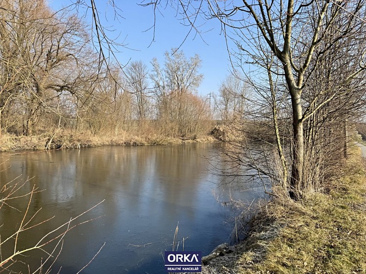 Pronájem rybníku (vodní plochy) 6 501 m² - foto 1
