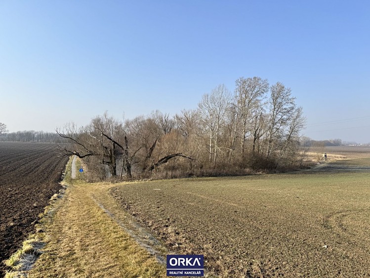 Pronájem rybníku (vodní plochy) 6 501 m² - foto 3