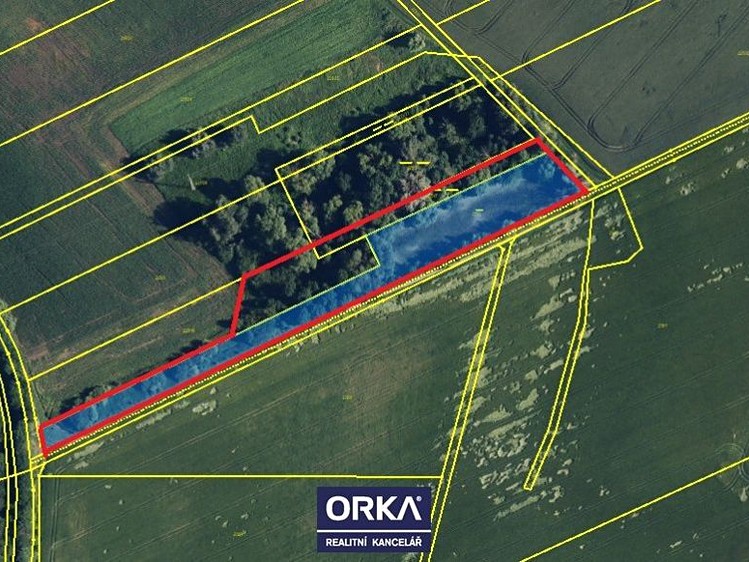Pronájem rybníku (vodní plochy) 6 501 m² - foto 5