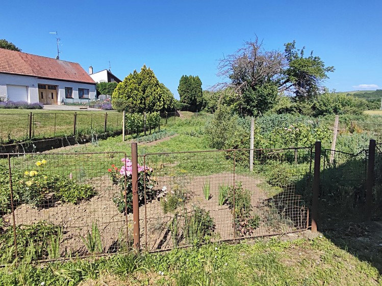 Pronájem zahrady 565 m² - foto 1