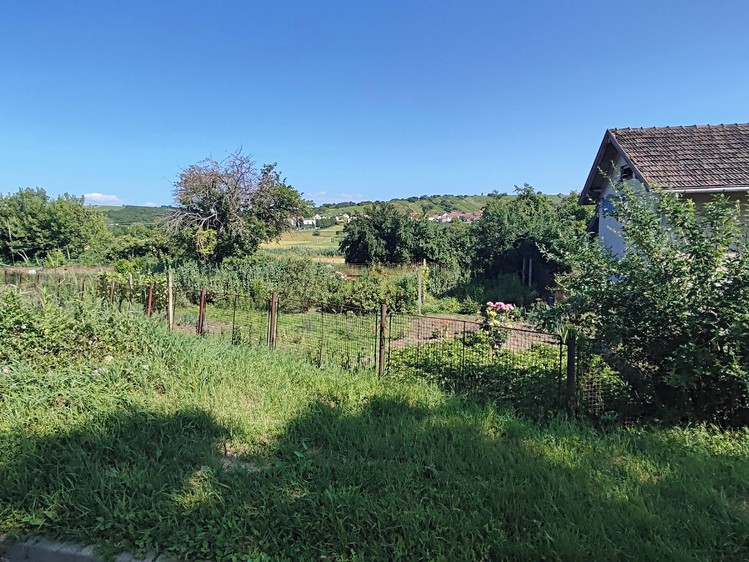 Pronájem zahrady 565 m² - foto 2