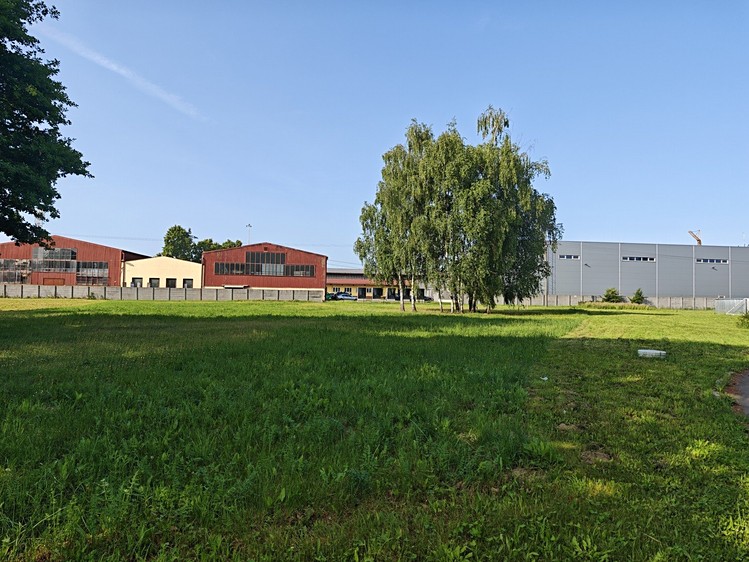 Pronájem louky 2 778 m² - foto 2