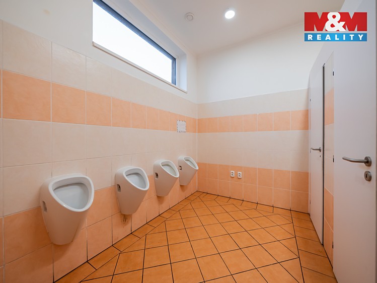 Prodej obchodního prostoru 600 m² - foto 8