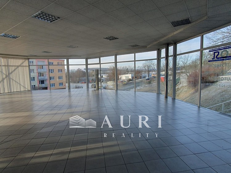 Prodej obchodního prostoru 412 m² - foto 5